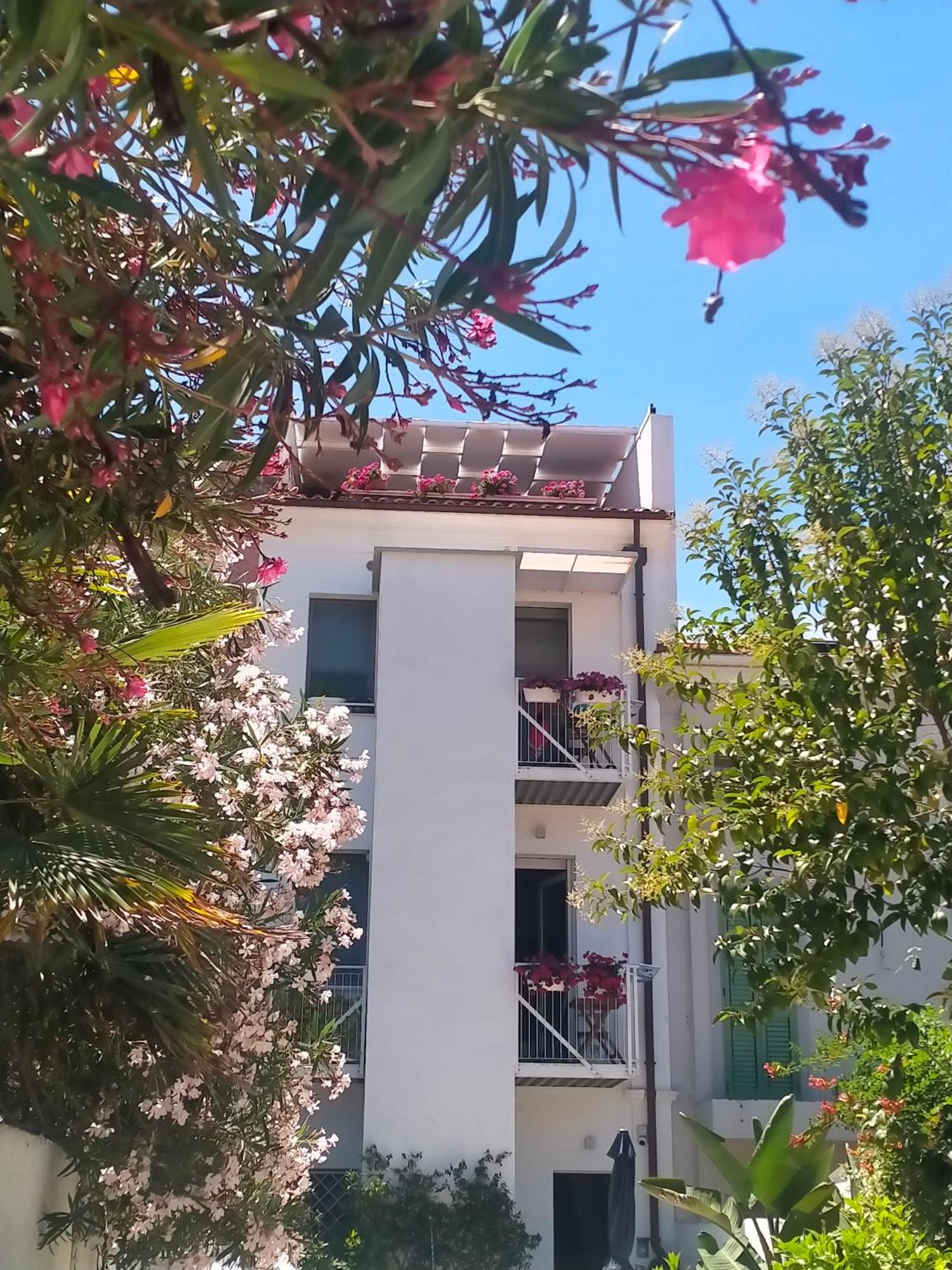 B&B Previsto Sole Civitanova Marche Extérieur photo